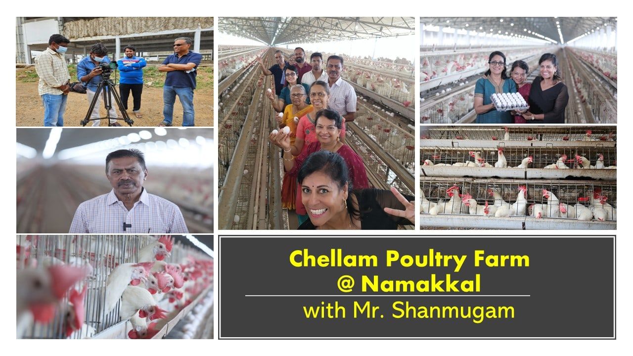 The documentary crew filming on location at a poultry farm in Namakkal, with members holding trays of eggs among the sheds.